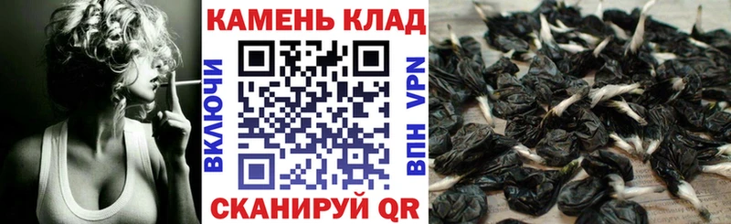 где купить   Сковородино  ГАШ убойный 