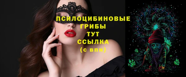 таблы Богородск