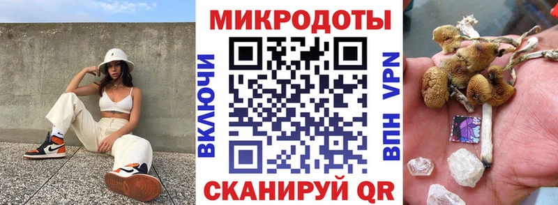 дарк нет как зайти Сковородино Галлюциногенные грибы MAGIC MUSHROOMS